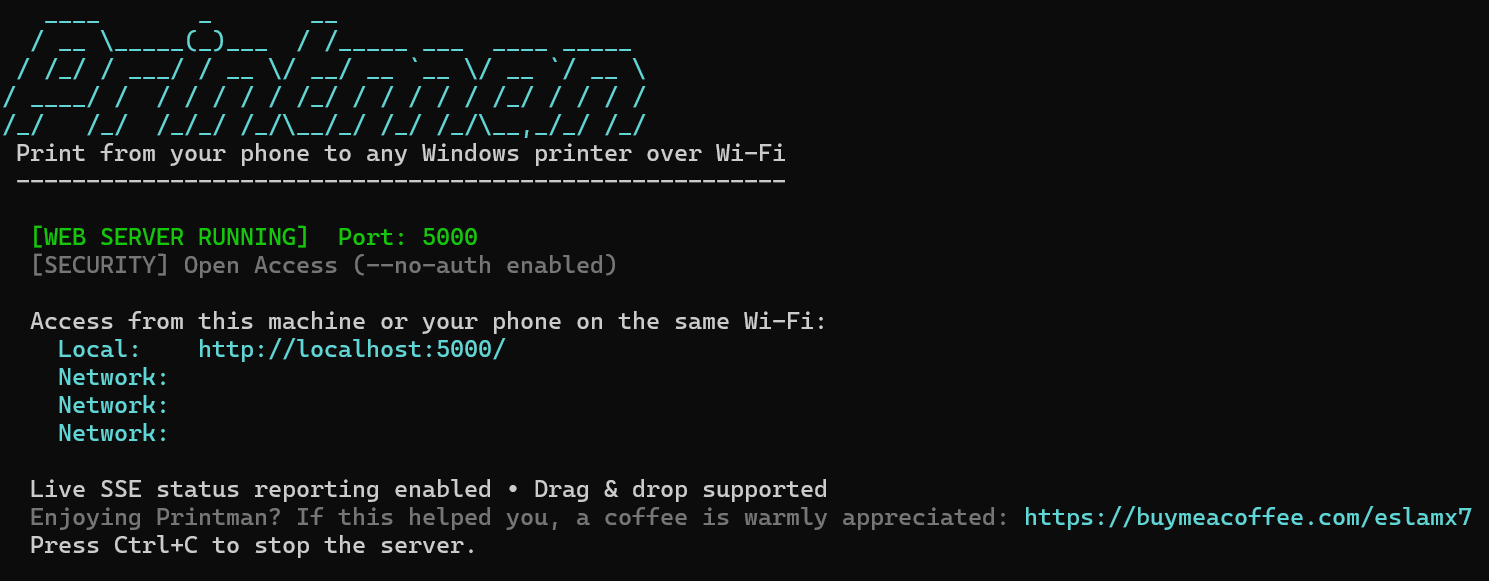 Printman Windows CLI Terminal